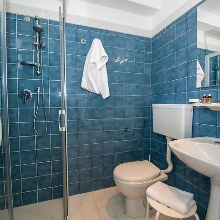 Delle Mimose Hotel 3*